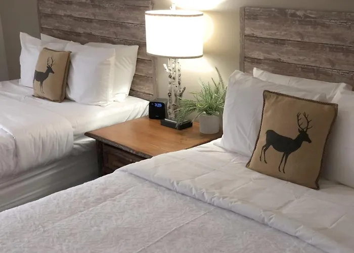 Abe Martin Lodge&Cabins酒店