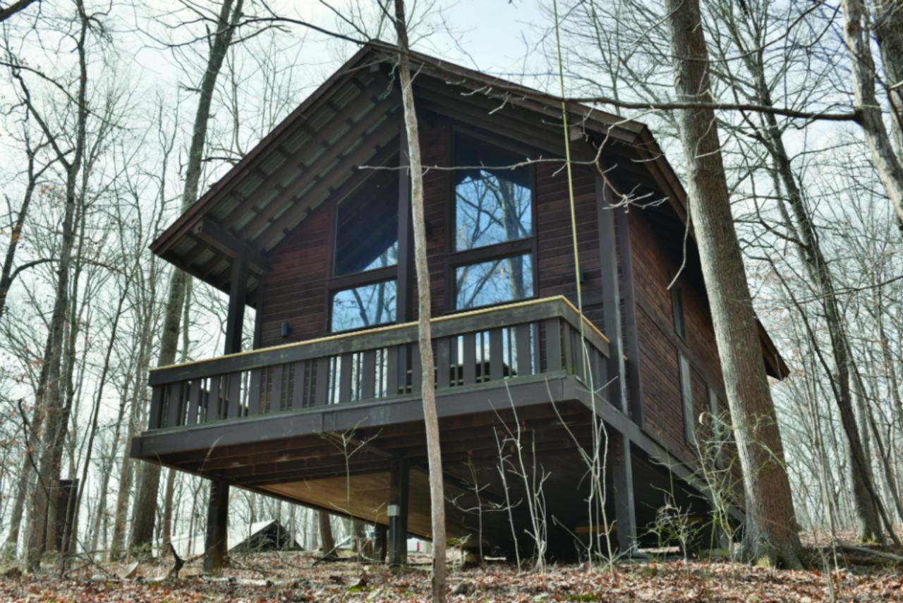 Hotel Abe Martin Lodge&cabins